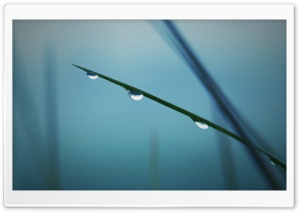 Few Drops Of Water 13 HD Wide Wallpaper for Widescreen