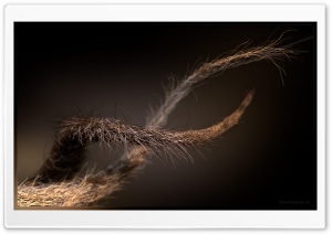 Fibers HD Wide Wallpaper for Widescreen