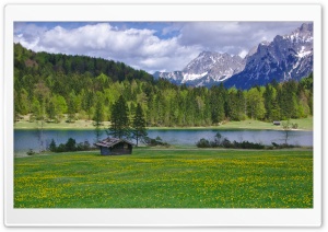 Field Of Flowers HD Wide Wallpaper for Widescreen