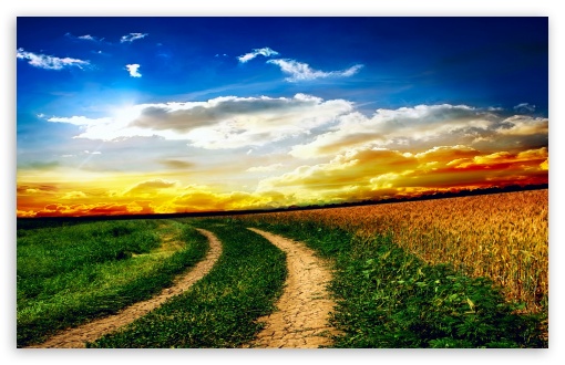 Field Road HD wallpaper for Wide 16:10 Widescreen WHXGA WQXGA WUXGA WXGA ;