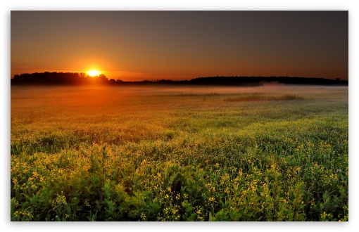 Fog At Sunrise HD wallpaper for Wide 16:10 Widescreen WHXGA WQXGA WUXGA WXGA ;