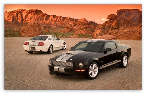 Ford Shelby GT Cars HD wallpaper for Wide 16:10 5:3 Widescreen WHXGA WQXGA WUXGA WXGA WGA ; HD 16:9 High Definition WQHD QWXGA 1080p 900p 720p QHD nHD ; Mobile WVGA PSP - WVGA WQVGA Smartphone ( HTC Samsung Sony Ericsson LG Vertu MIO ) Sony PSP Zune HD Zen ;