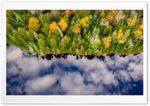 Forest Autumn 4 HD Wide Wallpaper for Widescreen