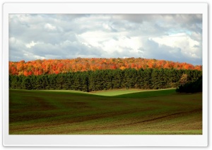 Forest Autumn 6 HD Wide Wallpaper for Widescreen