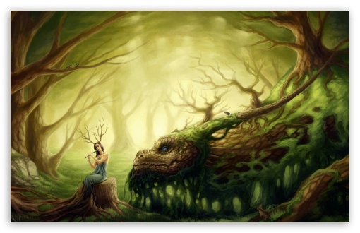 Forest Creatures HD wallpaper for Wide 16:10 Widescreen WHXGA WQXGA WUXGA WXGA ;