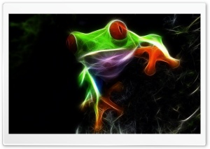 Frog HD Wide Wallpaper for Widescreen