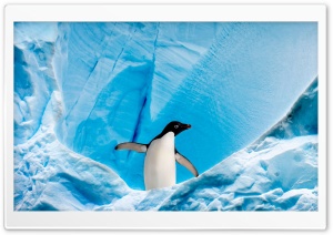 Frozen Landscape HD Wide Wallpaper for Widescreen
