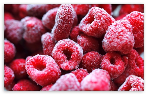 Frozen Red Berries HD wallpaper for Wide 16:10 Widescreen WHXGA WQXGA WUXGA WXGA ;