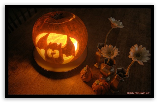 Funny Jack O Lantern wallpaper for Wide 16:10 Widescreen WHXGA WQXGA WUXGA WXGA ;