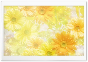 Gerber+daisy+flower+tattoos