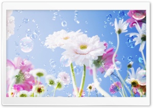 Gerber+daisy+flower+tattoos