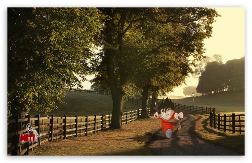 Goku Sunset wallpaper for Wide 16:10 Widescreen WHXGA WQXGA WUXGA WXGA ;