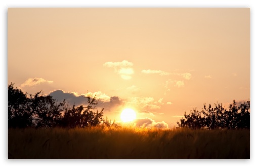 Golden Wheat Field At Sunset wallpaper for Wide 16:10 Widescreen WHXGA WQXGA WUXGA WXGA ;