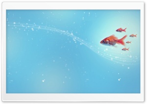 Goldfish HD Wide Wallpaper for Widescreen