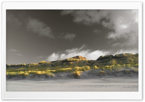Grass On The Beach HD Wide Wallpaper for Widescreen