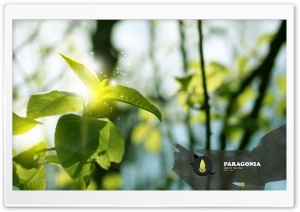 Green Branch, Creative Design wallpaper