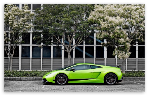 7 Green Lamborghini Gallardo Superleggera HD wallpaper for HD 169 High 