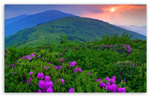 Green Mountains HD wallpaper for Wide 16:10 Widescreen WHXGA WQXGA WUXGA WXGA ;