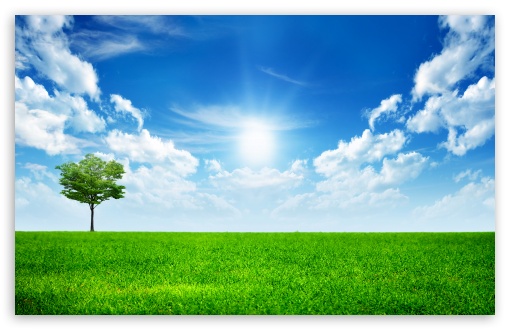 Green Nature HD wallpaper for Standard 4:3 5:4 Fullscreen UXGA XGA SVGA QSXGA SXGA ; Wide 16:10 5:3 Widescreen WHXGA WQXGA WUXGA WXGA WGA ; HD 16:9 High Definition WQHD QWXGA 1080p 900p 720p QHD nHD ; Other 3:2 DVGA HVGA HQVGA devices ( Apple PowerBook G4 iPhone 4 3G 3GS iPod Touch ) ; Mobile VGA WVGA iPhone iPad PSP Phone - VGA QVGA Smartphone ( PocketPC GPS iPod Zune BlackBerry HTC Samsung LG Nokia Eten Asus ) WVGA WQVGA Smartphone ( HTC Samsung Sony Ericsson LG Vertu MIO ) HVGA Smartphone ( Apple iPhone iPod BlackBerry HTC Samsung Nokia ) Sony PSP Zune HD Zen ;