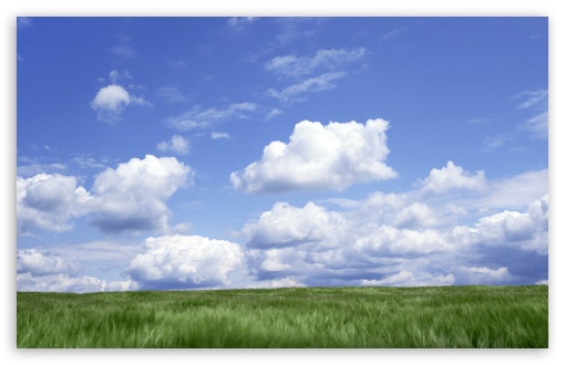Green Pasture HD wallpaper for Wide 16:10 5:3 Widescreen WHXGA WQXGA WUXGA WXGA WGA ; HD 16:9 High Definition WQHD QWXGA 1080p 900p 720p QHD nHD ; Mobile WVGA PSP - WVGA WQVGA Smartphone ( HTC Samsung Sony Ericsson LG Vertu MIO ) Sony PSP Zune HD Zen ; Dual 4:3 16:10 16:9 UXGA XGA SVGA WHXGA WQXGA WUXGA WXGA WQHD QWXGA 1080p 900p 720p QHD nHD ;