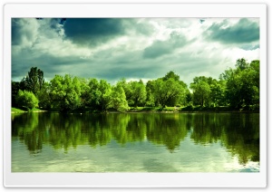 Green Trees HD Wide Wallpaper for Widescreen