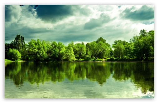 Green Trees HD wallpaper for Wide 16:10 Widescreen WHXGA WQXGA WUXGA WXGA ;