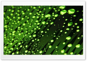 Green Water Droplets HD Wide Wallpaper for Widescreen