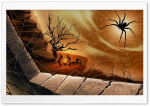 Halloween Spirit Spider Web Hallowmas HD Wide Wallpaper for Widescreen