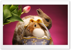 Happy Easter HD Wide Wallpaper for Widescreen