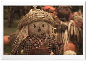 Harvest Time Fun Pigeon Forge Tennessee HD Wide Wallpaper for Widescreen