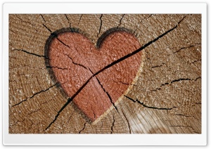 Heart Engraved Log HD Wide Wallpaper for Widescreen