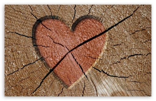Heart Engraved Log HD wallpaper for Standard 4:3 5:4 Fullscreen UXGA XGA SVGA QSXGA SXGA ; Wide 16:10 5:3 Widescreen WHXGA WQXGA WUXGA WXGA WGA ; Tablet Tablet ; HD 16:9 High Definition WQHD QWXGA 1080p 900p 720p QHD nHD ; Other 3:2 DVGA HVGA HQVGA devices ( Apple PowerBook G4 iPhone 4 3G 3GS iPod Touch ) ; Mobile VGA WVGA iPhone iPad PSP Phone - VGA QVGA Smartphone ( PocketPC GPS iPod Zune BlackBerry HTC Samsung LG Nokia Eten Asus ) WVGA WQVGA Smartphone ( HTC Samsung Sony Ericsson LG Vertu MIO ) HVGA Smartphone ( Apple iPhone iPod BlackBerry HTC Samsung Nokia ) Sony PSP Zune HD Zen ;