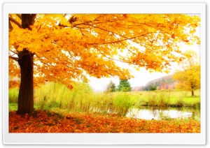 Heavenly HD Wide Wallpaper for Widescreen