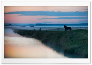 Horse, Landscape HD Wide Wallpaper for Widescreen