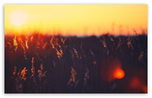 Hot Sunset wallpaper for Wide 16:10 Widescreen WHXGA WQXGA WUXGA WXGA ;