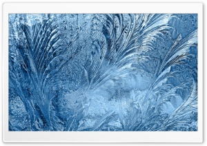 Ice Flowers On The Window HD Wide Wallpaper for Widescreen