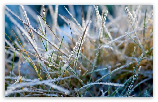Icy Memories wallpaper for Wide 16:10 Widescreen WHXGA WQXGA WUXGA WXGA ;