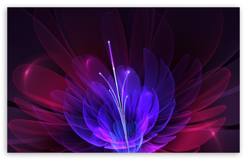 In Full Bloom wallpaper for Standard 4:3 5:4 Fullscreen UXGA XGA SVGA QSXGA SXGA ; Wide 16:10 5:3 Widescreen WHXGA WQXGA WUXGA WXGA WGA ; HD 16:9 High Definition WQHD QWXGA 1080p 900p 720p QHD nHD ; Mobile VGA WVGA iPad Phone - VGA QVGA Smartphone ( PocketPC GPS iPod Zune BlackBerry HTC Samsung LG Nokia Eten Asus ) WVGA WQVGA Smartphone ( HTC Samsung Sony Ericsson LG Vertu MIO ) ;