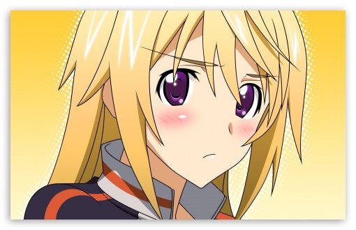 Forum Image: http://wallpaperswide.com/thumbs/infinite_stratos_dunois_charlotte-t2.jpg