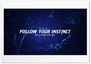 INSTINCT HD Wide Wallpaper for Widescreen