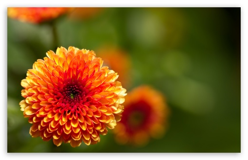 Intense HD wallpaper for Wide 16:10 Widescreen WHXGA WQXGA WUXGA WXGA ;