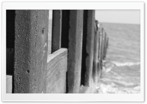 Into The Sea HD Wide Wallpaper for Widescreen