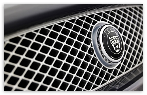 Jaguar Badge HD wallpaper for Wide 16:10 5:3 Widescreen WHXGA WQXGA WUXGA WXGA WGA ; HD 16:9 High Definition WQHD QWXGA 1080p 900p 720p QHD nHD ; Mobile WVGA PSP - WVGA WQVGA Smartphone ( HTC Samsung Sony Ericsson LG Vertu MIO ) Sony PSP Zune HD Zen ;