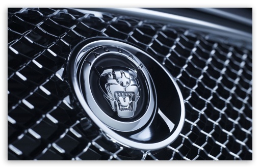 Jaguar Badge 1 HD wallpaper for Wide 16:10 5:3 Widescreen WHXGA WQXGA WUXGA WXGA WGA ; HD 16:9 High Definition WQHD QWXGA 1080p 900p 720p QHD nHD ; Mobile WVGA PSP - WVGA WQVGA Smartphone ( HTC Samsung Sony Ericsson LG Vertu MIO ) Sony PSP Zune HD Zen ;