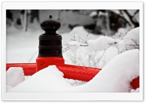 Japanese Winters HD Wide Wallpaper for Widescreen
