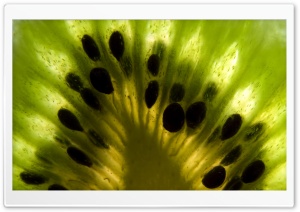 Kiwi Fruit HD Wide Wallpaper for Widescreen