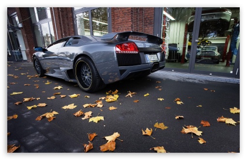 Lamborghini Sport Cars 14 HD wallpaper for Wide 16:10 5:3 Widescreen WHXGA WQXGA WUXGA WXGA WGA ; HD 16:9 High Definition WQHD QWXGA 1080p 900p 720p QHD nHD ; Mobile WVGA PSP - WVGA WQVGA Smartphone ( HTC Samsung Sony Ericsson LG Vertu MIO ) Sony PSP Zune HD Zen ;
