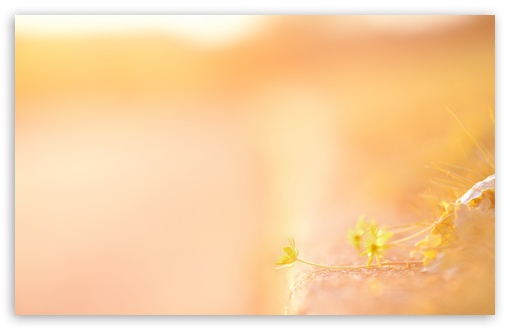Last Light wallpaper for Wide 16:10 Widescreen WHXGA WQXGA WUXGA WXGA ;