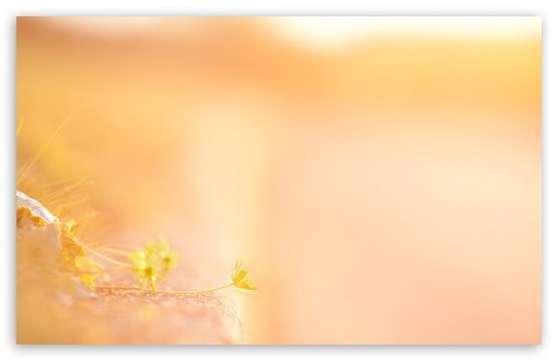 Last Light II wallpaper for Wide 16:10 Widescreen WHXGA WQXGA WUXGA WXGA ;