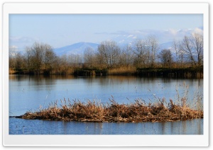 Last Winter HD Wide Wallpaper for Widescreen